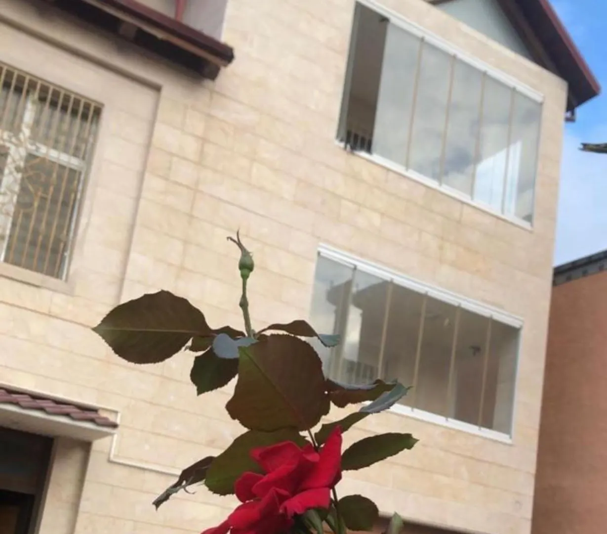Luxury Villa With Hot Pool Baku Azerbaijan